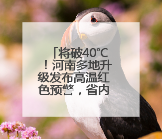 将破40℃！河南多地升级发布高温红色预警，省内局地有暴雨