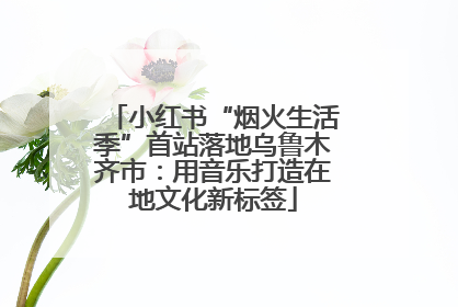 小红书“烟火生活季”首站落地乌鲁木齐市：用音乐打造在地文化新标签