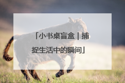 小书桌盲盒｜捕捉生活中的瞬间