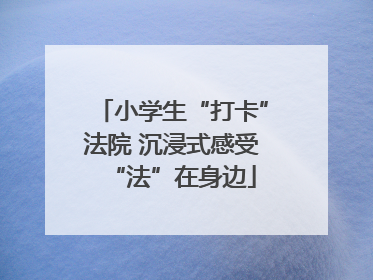 小学生“打卡”法院 沉浸式感受“法”在身边