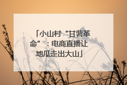 小山村“甘薯革命”：电商直播让地瓜走出大山