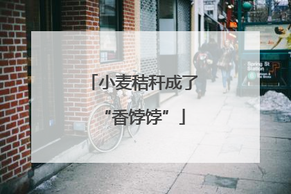 小麦秸秆成了“香饽饽”