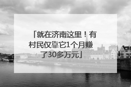 就在济南这里！有村民仅靠它1个月赚了30多万元