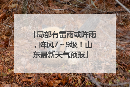 局部有雷雨或阵雨，阵风7～9级！山东最新天气预报