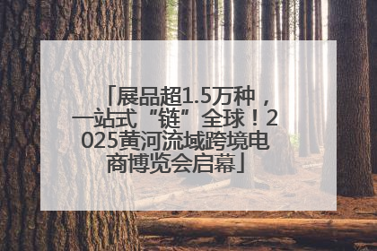 展品超1.5万种，一站式“链”全球！2025黄河流域跨境电商博览会启幕