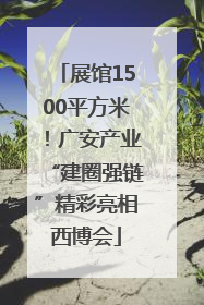 展馆1500平方米！广安产业“建圈强链”精彩亮相西博会