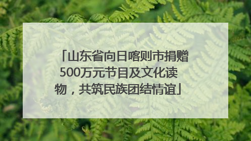 山东省向日喀则市捐赠500万元节目及文化读物，共筑民族团结情谊