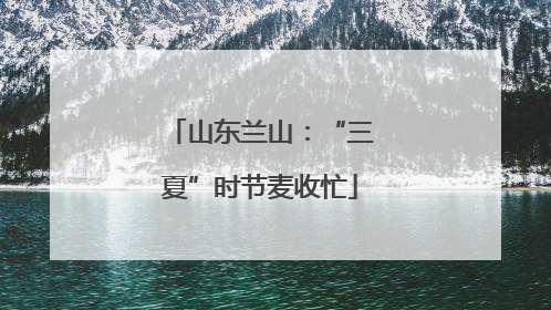山东兰山：“三夏”时节麦收忙