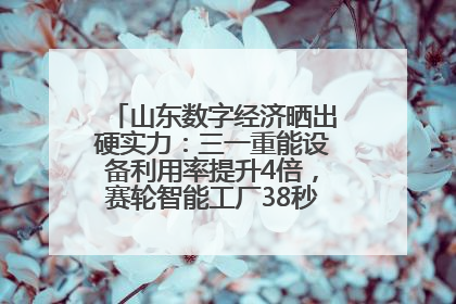 山东数字经济晒出硬实力：三一重能设备利用率提升4倍，赛轮智能工厂38秒生产一条轮胎