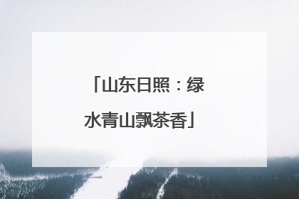山东日照：绿水青山飘茶香