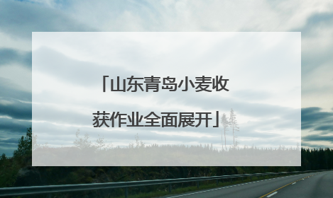 山东青岛小麦收获作业全面展开