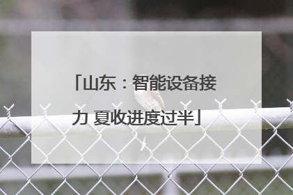 山东：智能设备接力 夏收进度过半
