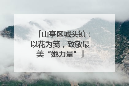 山亭区城头镇：以花为笺，致敬最美“她力量”