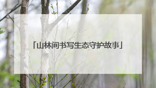 山林间书写生态守护故事