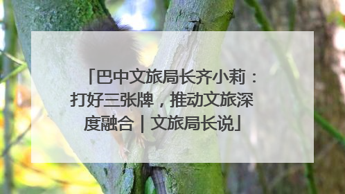 巴中文旅局长齐小莉：打好三张牌，推动文旅深度融合｜文旅局长说