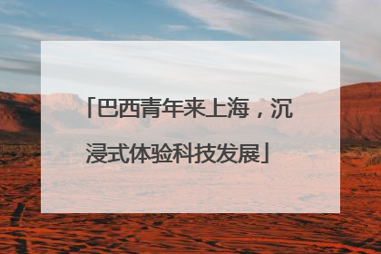 巴西青年来上海，沉浸式体验科技发展