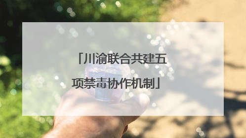川渝联合共建五项禁毒协作机制