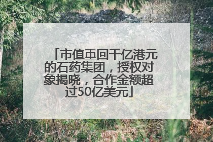 市值重回千亿港元的石药集团，授权对象揭晓，合作金额超过50亿美元