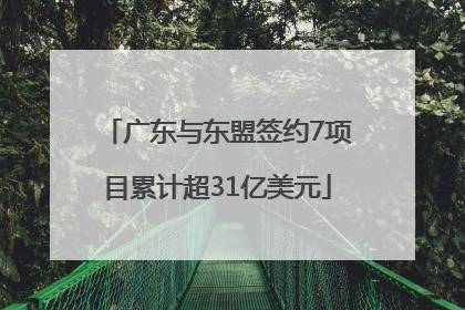 广东与东盟签约7项目累计超31亿美元
