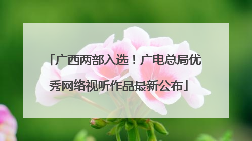 广西两部入选！广电总局优秀网络视听作品最新公布