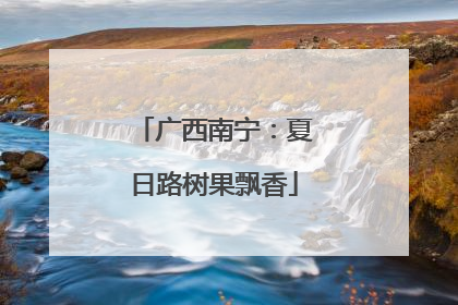 广西南宁：夏日路树果飘香