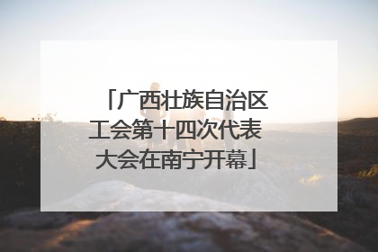 广西壮族自治区工会第十四次代表大会在南宁开幕
