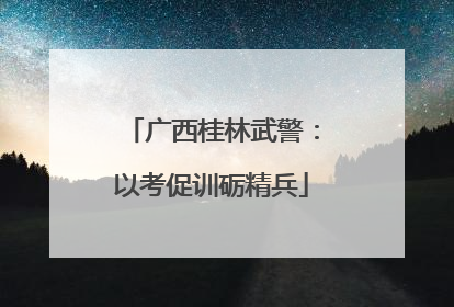 广西桂林武警：以考促训砺精兵