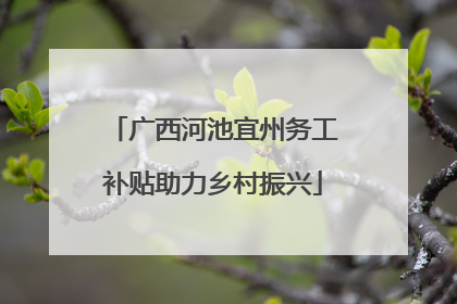 广西河池宜州务工补贴助力乡村振兴