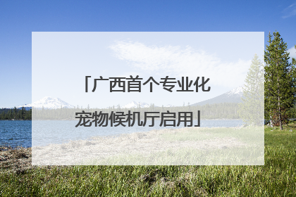 广西首个专业化宠物候机厅启用