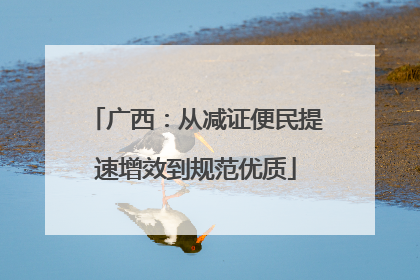 广西：从减证便民提速增效到规范优质