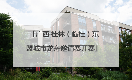 广西·桂林（临桂）东盟城市龙舟邀请赛开赛
