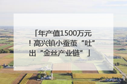 年产值1500万元！高兴镇小蚕茧“吐”出“金丝产业链”