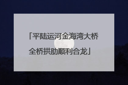 平陆运河金海湾大桥全桥拱肋顺利合龙