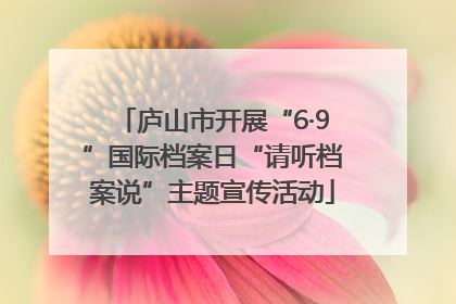 庐山市开展“6·9”国际档案日“请听档案说”主题宣传活动