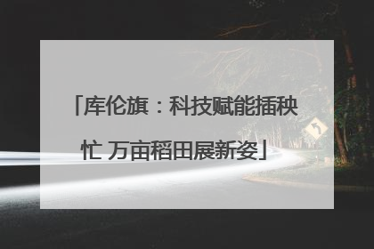 库伦旗：科技赋能插秧忙 万亩稻田展新姿