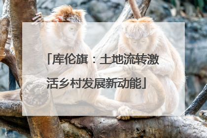 库伦旗：土地流转激活乡村发展新动能