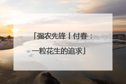 强农先锋丨付春：一粒花生的追求