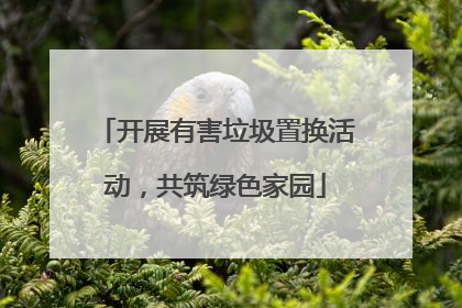 开展有害垃圾置换活动，共筑绿色家园