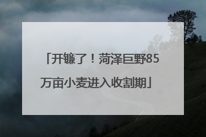 开镰了！菏泽巨野85万亩小麦进入收割期