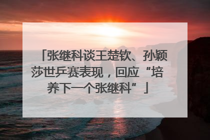 张继科谈王楚钦、孙颖莎世乒赛表现，回应“培养下一个张继科”