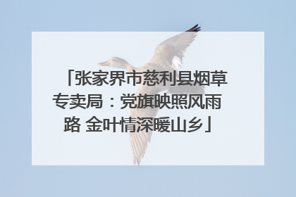 张家界市慈利县烟草专卖局：党旗映照风雨路 金叶情深暖山乡