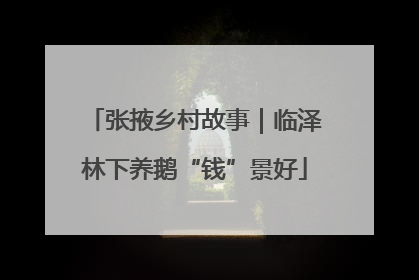 张掖乡村故事｜临泽林下养鹅“钱”景好