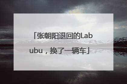 张朝阳退回的Labubu，换了一辆车