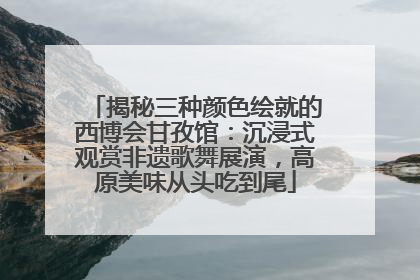 揭秘三种颜色绘就的西博会甘孜馆：沉浸式观赏非遗歌舞展演，高原美味从头吃到尾