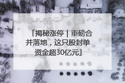 揭秘涨停｜重磅合并落地，这只股封单资金超30亿元