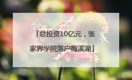 总投资10亿元，张家界学院落户梅溪湖