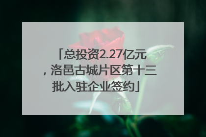 总投资2.27亿元，洛邑古城片区第十三批入驻企业签约