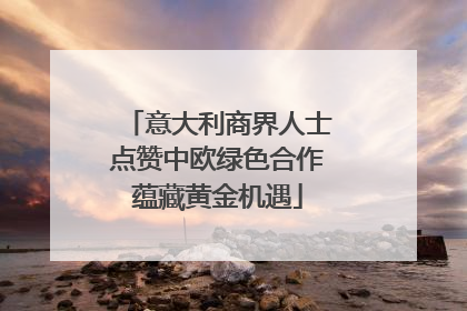 意大利商界人士点赞中欧绿色合作蕴藏黄金机遇