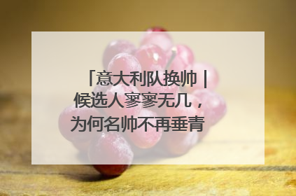 意大利队换帅｜候选人寥寥无几，为何名帅不再垂青“蓝衣军团”？