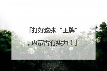 打好这张“王牌”，内蒙古有实力！